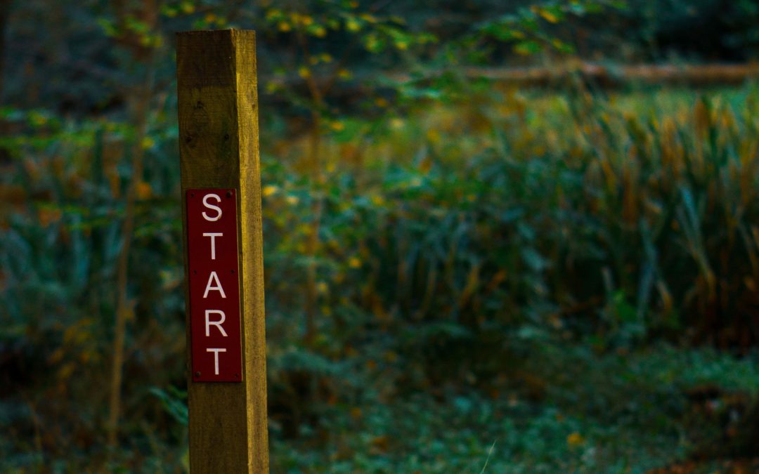 Your Net Zero foundations