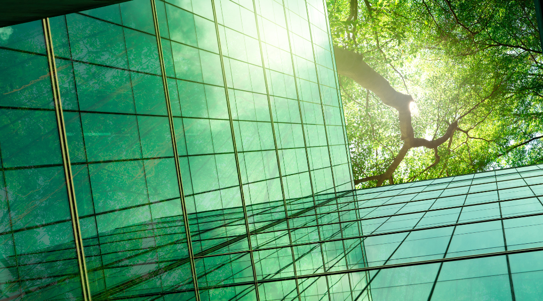 What Net Zero Really Means for Businesses